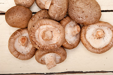 Image showing shiitake mushrooms