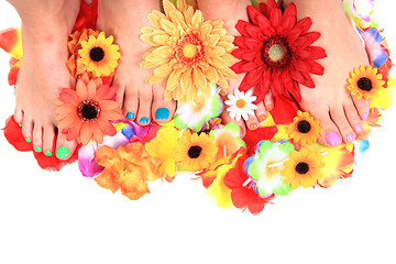 Image showing women feet (pedicure)  with flowers