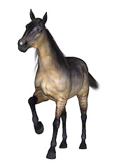 Image showing Horse