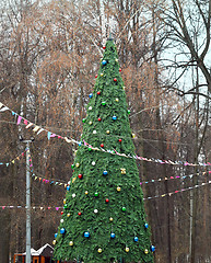 Image showing Christmas tree