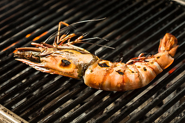 Image showing Grilled prawns on the grill