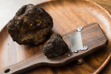 Image showing delicacy mushroom black truffle 