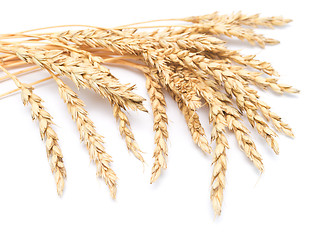 Image showing wheat ears