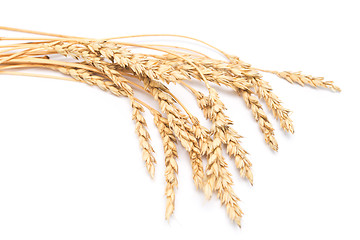 Image showing wheat ears