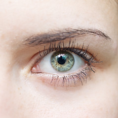 Image showing woman eye