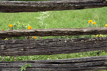 Image showing Very old rustic fence