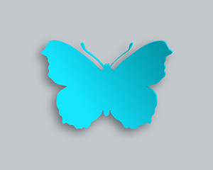 Image showing Blue butterfly