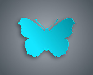 Image showing Blue butterfly