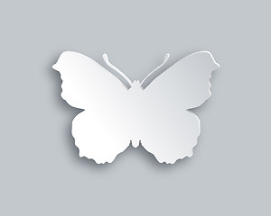 Image showing White butterfly