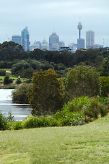 Image showing sydney park