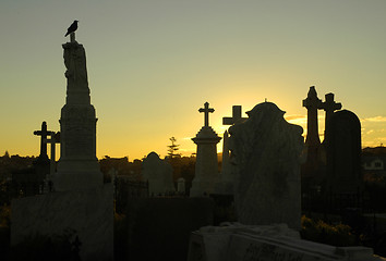 Image showing crow at graveyard