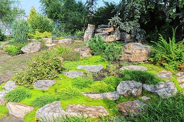 Image showing Landscaping