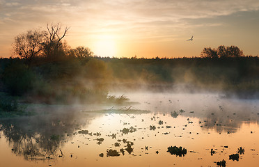 Image showing Fog over autumn river