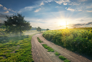 Image showing Country road and sunflowers