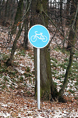 Image showing Bike on the pavement