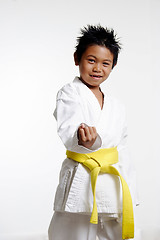 Image showing Karate Stance