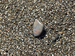 Image showing wet pebbles on the beach of the Black Sea 1