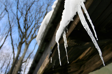 Image showing Icicles hanging on roof