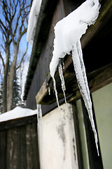 Image showing Icicles on roof