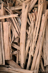 Image showing Pile of twigs for heating