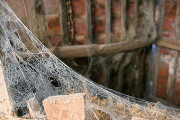 Image showing Cobweb in deserted cottage