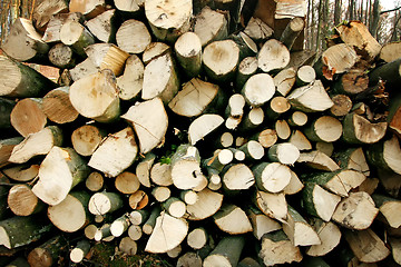 Image showing Pile of firewood