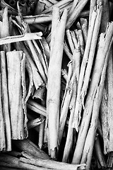 Image showing Pile of twigs b&w