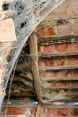 Image showing Cobweb in roof