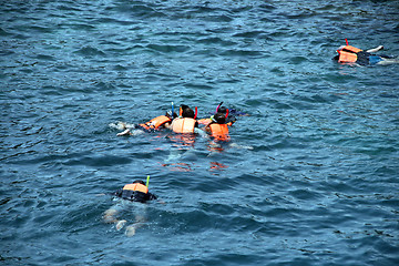 Image showing divers