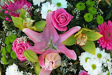 Image showing Pink flowers