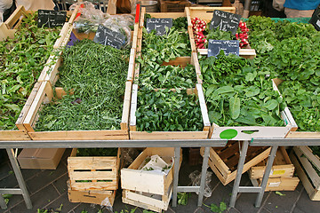 Image showing Green vegetables