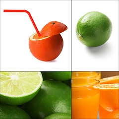 Image showing citrus fruits collage