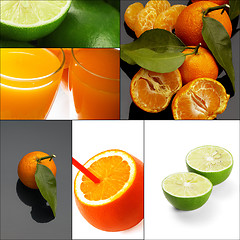 Image showing citrus fruits collage