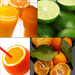 Image showing citrus fruits collage