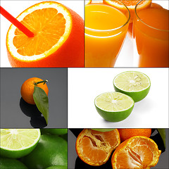 Image showing citrus fruits collage