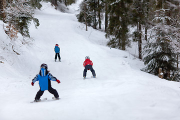 Image showing Little skiers