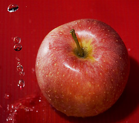 Image showing red royal gala apple