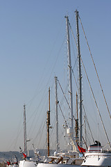 Image showing yacht sails