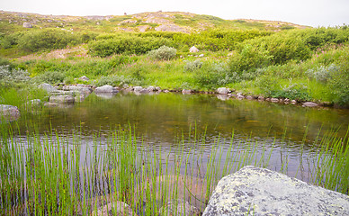 Image showing polar small river in the tundra.