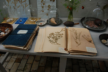 Image showing Herbarium