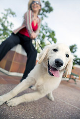 Image showing model with dog