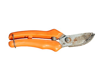 Image showing old rusty garden shears