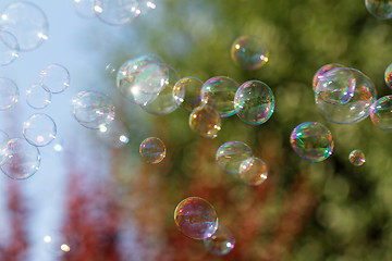 Image showing Soap bubbles