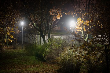 Image showing Creepy park at night with illumination