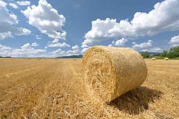 Image showing Hay bails on the field