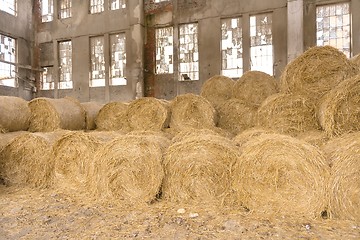 Image showing Hay bails on the field