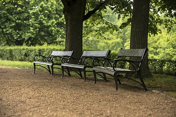 Image showing Stylish bench in autumn park