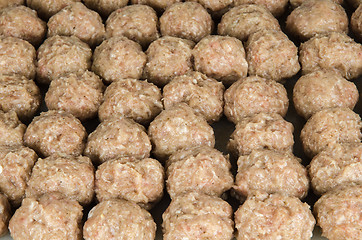 Image showing Rows of raw meatballs