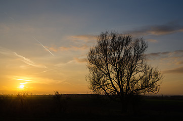 Image showing Sunset view