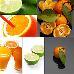 Image showing citrus fruits collage